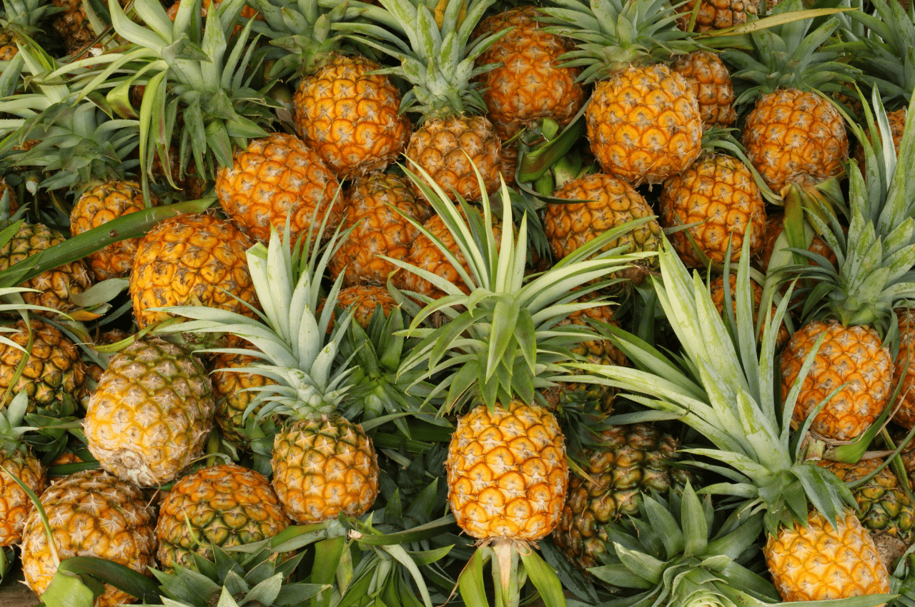 Why Pineapples are so good for you