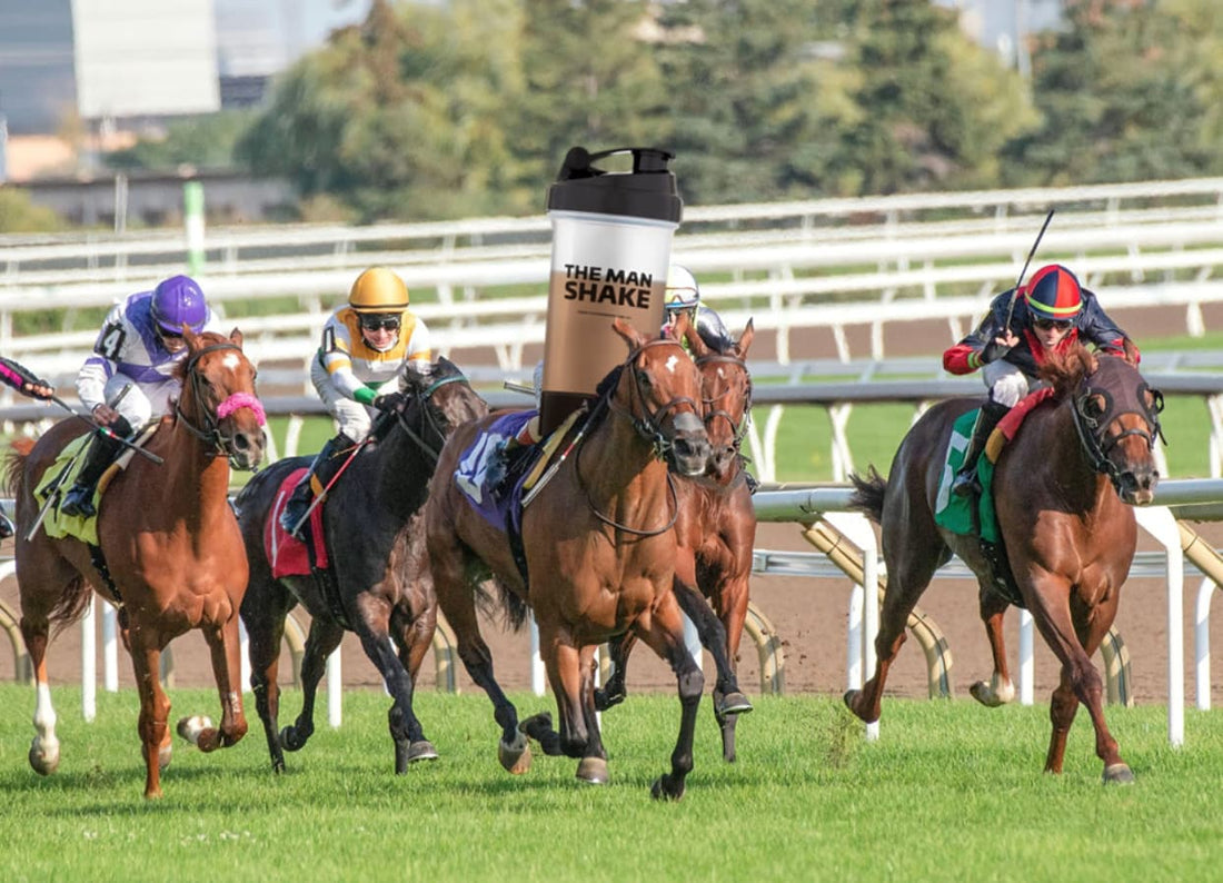 Tip The Odds In Your Favour This Melbourne Cup